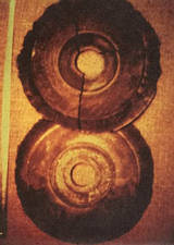 Das Bild anklicken, um es zu vergrössern