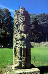 Das Bild anklicken, um es zu vergrössern