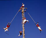 Das Bild anklicken, um es zu vergrssern