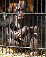 Das Bild anklicken, um es zu vergrössern